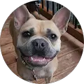 Frank R. Avatar